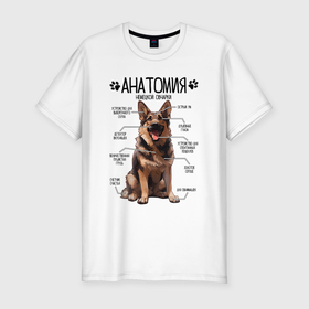 Мужская футболка хлопок Slim с принтом Анатомия немецкой овчарки, строение собаки в Кировске, 92% хлопок, 8% лайкра | приталенный силуэт, круглый вырез ворота, длина до линии бедра, короткий рукав | 
