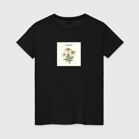Женская футболка хлопок с принтом Ромашки chamomile в Белгороде, 100% хлопок | прямой крой, круглый вырез горловины, длина до линии бедер, слегка спущенное плечо | 