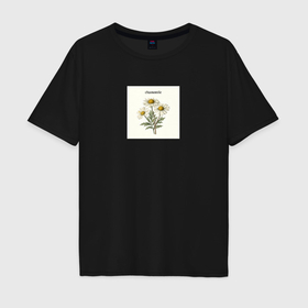Мужская футболка хлопок Oversize с принтом Ромашки chamomile , 100% хлопок | свободный крой, круглый ворот, “спинка” длиннее передней части | Тематика изображения на принте: 