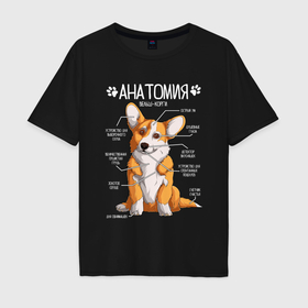 Мужская футболка хлопок Oversize с принтом Анатомия корги, строение собаки в Санкт-Петербурге, 100% хлопок | свободный крой, круглый ворот, “спинка” длиннее передней части | 