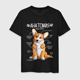 Мужская футболка хлопок с принтом Анатомия корги, строение собаки в Белгороде, 100% хлопок | прямой крой, круглый вырез горловины, длина до линии бедер, слегка спущенное плечо. | 