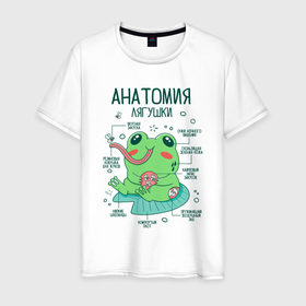 Мужская футболка хлопок с принтом Анатомия лягушки в Белгороде, 100% хлопок | прямой крой, круглый вырез горловины, длина до линии бедер, слегка спущенное плечо. | 