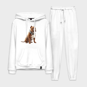 Мужской костюм хлопок с толстовкой Булли, с бантом: в Ухте,  |  |