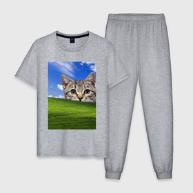 Мужская пижама хлопок с принтом Кот и безмятежность в Windows XP в Петрозаводске, 100% хлопок | брюки и футболка прямого кроя, без карманов, на брюках мягкая резинка на поясе и по низу штанин
 | 