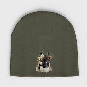 Мужская шапка демисезонная с принтом Американская акита с венком из цветов в Тюмени,  |  | Тематика изображения на принте: 