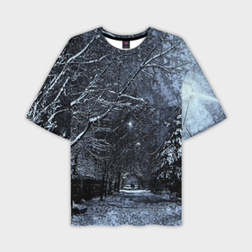 Мужская футболка oversize 3D с принтом Зимний пейзаж стилизация в Екатеринбурге,  |  | 