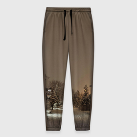 Мужские брюки 3D с принтом Зимний пейзаж коричневый в Петрозаводске, 100% полиэстер | манжеты по низу, эластичный пояс регулируется шнурком, по бокам два кармана без застежек, внутренняя часть кармана из мелкой сетки | 