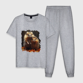 Мужская пижама хлопок с принтом Милые ёжики в Санкт-Петербурге, 100% хлопок | брюки и футболка прямого кроя, без карманов, на брюках мягкая резинка на поясе и по низу штанин
 | 