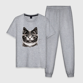 Мужская пижама хлопок с принтом кот обормот в Петрозаводске, 100% хлопок | брюки и футболка прямого кроя, без карманов, на брюках мягкая резинка на поясе и по низу штанин
 | 