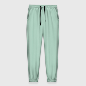 Мужские брюки 3D с принтом Серо зеленый однотонный в Екатеринбурге, 100% полиэстер | манжеты по низу, эластичный пояс регулируется шнурком, по бокам два кармана без застежек, внутренняя часть кармана из мелкой сетки | 