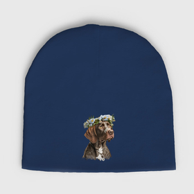 Мужская шапка демисезонная с принтом Курцхаар с венком из цветов в Петрозаводске,  |  | 
