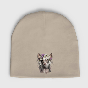 Мужская шапка демисезонная с принтом Китайская хохлатая собака с венком из цветов в Санкт-Петербурге,  |  | Тематика изображения на принте: 