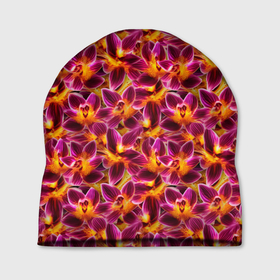 Шапка 3D с принтом Желто розовая орхидея в Тюмени, 100% полиэстер | универсальный размер, печать по всей поверхности изделия | 