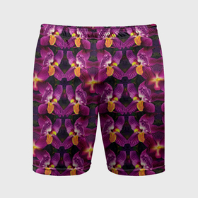 Мужские шорты спортивные с принтом Фиолетовая   орхидея в Петрозаводске,  |  | 