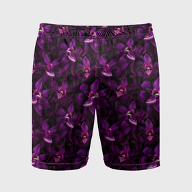 Мужские шорты спортивные с принтом Фиолетовая      орхидея в Петрозаводске,  |  | 