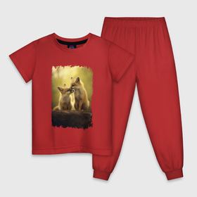 Детская пижама хлопок с принтом Лисички сестрички в Курске, 100% хлопок |  брюки и футболка прямого кроя, без карманов, на брюках мягкая резинка на поясе и по низу штанин
 | 