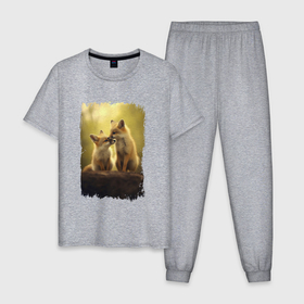 Мужская пижама хлопок с принтом Лисички сестрички в Новосибирске, 100% хлопок | брюки и футболка прямого кроя, без карманов, на брюках мягкая резинка на поясе и по низу штанин
 | 