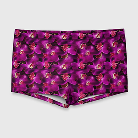 Мужские купальные плавки 3D с принтом Розовая объемная  орхидея в Тюмени, Полиэстер 85%, Спандекс 15% |  | 