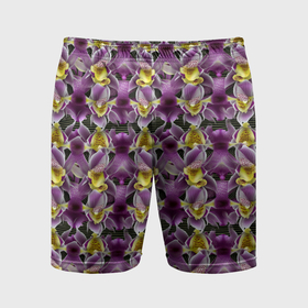 Мужские шорты спортивные с принтом Фиолетовая и золотая орхидея в Петрозаводске,  |  | 