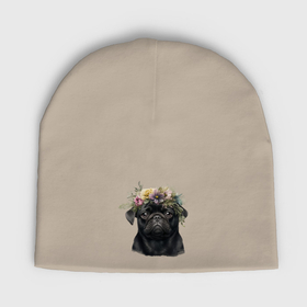 Мужская шапка демисезонная с принтом Мопс черный с венком из цветов в Тюмени,  |  | Тематика изображения на принте: 