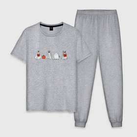 Мужская пижама хлопок с принтом Собаки и кот привидения хэллоуин в Петрозаводске, 100% хлопок | брюки и футболка прямого кроя, без карманов, на брюках мягкая резинка на поясе и по низу штанин
 | 