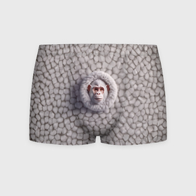 Мужские трусы 3D с принтом Забавная белая обезьяна в Петрозаводске, 50% хлопок, 50% полиэстер | классическая посадка, на поясе мягкая тканевая резинка | Тематика изображения на принте: 