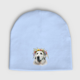 Мужская шапка демисезонная с принтом Пиренейская горная собака с венком из цветов в Петрозаводске,  |  | 