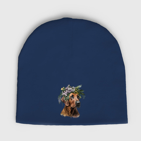 Мужская шапка демисезонная с принтом Родезийский риджбек с венком из цветов ,  |  | Тематика изображения на принте: 