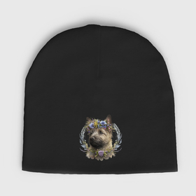 Мужская шапка демисезонная с принтом Керн терьер с венком из цветов в Тюмени,  |  | Тематика изображения на принте: 