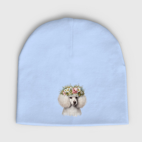 Мужская шапка демисезонная с принтом Пудель белый с венком из цветов в Кировске,  |  | Тематика изображения на принте: 