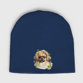 Мужская шапка демисезонная с принтом Тибетский спаниель с венком из цветов в Екатеринбурге,  |  | Тематика изображения на принте: 