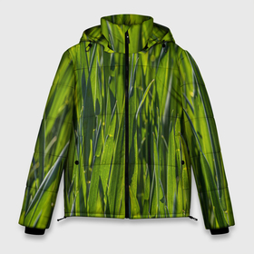Мужская зимняя куртка 3D с принтом Ландшафт зелень в Новосибирске, верх — 100% полиэстер; подкладка — 100% полиэстер; утеплитель — 100% полиэстер | длина ниже бедра, свободный силуэт Оверсайз. Есть воротник-стойка, отстегивающийся капюшон и ветрозащитная планка. 

Боковые карманы с листочкой на кнопках и внутренний карман на молнии. | Тематика изображения на принте: 
