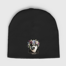 Мужская шапка демисезонная с принтом Хаски черный с венком из цветов в Курске,  |  | Тематика изображения на принте: 