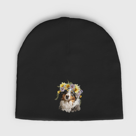 Мужская шапка демисезонная с принтом Австралийская овчарка Аусси с венком из цветов в Екатеринбурге,  |  | Тематика изображения на принте: 