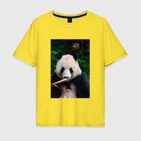 Мужская футболка хлопок Oversize с принтом Медведь панда на природе в Тюмени, 100% хлопок | свободный крой, круглый ворот, “спинка” длиннее передней части | Тематика изображения на принте: 