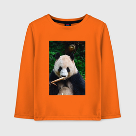 Детский лонгслив хлопок с принтом Медведь панда на природе , 100% хлопок | круглый вырез горловины, полуприлегающий силуэт, длина до линии бедер | 