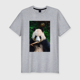 Мужская футболка хлопок Slim с принтом Медведь панда на природе в Кировске, 92% хлопок, 8% лайкра | приталенный силуэт, круглый вырез ворота, длина до линии бедра, короткий рукав | Тематика изображения на принте: 