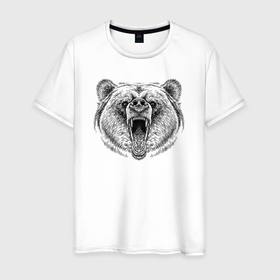 Мужская футболка хлопок с принтом Голова медведя рычащего в Курске, 100% хлопок | прямой крой, круглый вырез горловины, длина до линии бедер, слегка спущенное плечо. | 