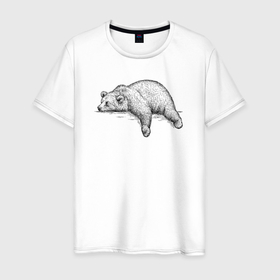 Мужская футболка хлопок с принтом Медведь отдыхает в Санкт-Петербурге, 100% хлопок | прямой крой, круглый вырез горловины, длина до линии бедер, слегка спущенное плечо. | Тематика изображения на принте: 