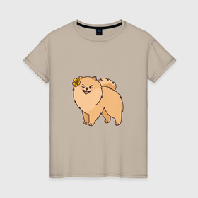 Женская футболка хлопок с принтом Милая собачка Шпиц в Тюмени, 100% хлопок | прямой крой, круглый вырез горловины, длина до линии бедер, слегка спущенное плечо | 