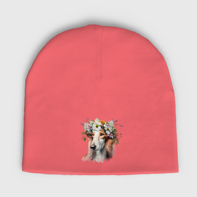 Мужская шапка демисезонная с принтом Салюки бело рыжий с венком из цветов в Тюмени,  |  | Тематика изображения на принте: 