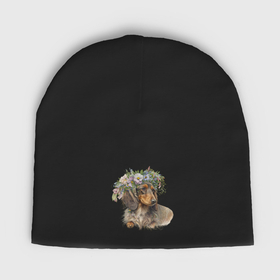 Мужская шапка демисезонная с принтом Такса длинношерстная с венком из цветов в Петрозаводске,  |  | Тематика изображения на принте: 