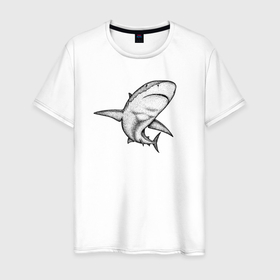 Мужская футболка хлопок с принтом Акула shark в Курске, 100% хлопок | прямой крой, круглый вырез горловины, длина до линии бедер, слегка спущенное плечо. | 