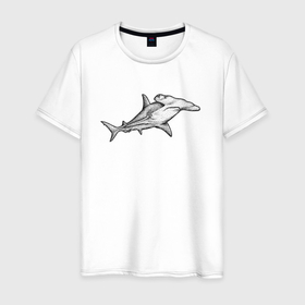 Мужская футболка хлопок с принтом Рыба молот акула в Санкт-Петербурге, 100% хлопок | прямой крой, круглый вырез горловины, длина до линии бедер, слегка спущенное плечо. | 