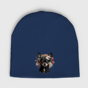 Мужская шапка демисезонная с принтом Чихуахуа черный с венком из цветов в Кировске,  |  | Тематика изображения на принте: 