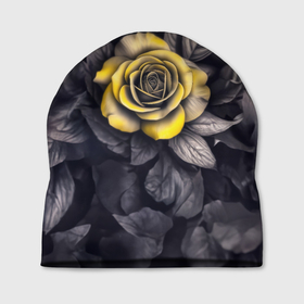 Шапка 3D с принтом Желтая роза на черно белых листьях в Курске, 100% полиэстер | универсальный размер, печать по всей поверхности изделия | Тематика изображения на принте: 