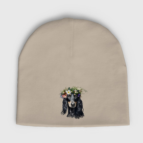 Мужская шапка демисезонная с принтом Персидская борзая салюки с венком из цветов в Белгороде,  |  | Тематика изображения на принте: 