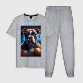 Мужская пижама хлопок с принтом Собака боксер в Тюмени, 100% хлопок | брюки и футболка прямого кроя, без карманов, на брюках мягкая резинка на поясе и по низу штанин
 | 