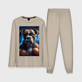Мужская пижама с лонгсливом хлопок с принтом Собака боксер в Тюмени,  |  | Тематика изображения на принте: 