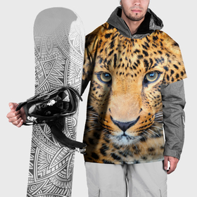 Накидка на куртку 3D с принтом Дальневосточный леопард в Екатеринбурге, 100% полиэстер |  | 